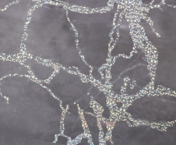 8191D Клеенка ПВХ прозр с печатью ПРЕСТИЖ 1,37х20(К) 